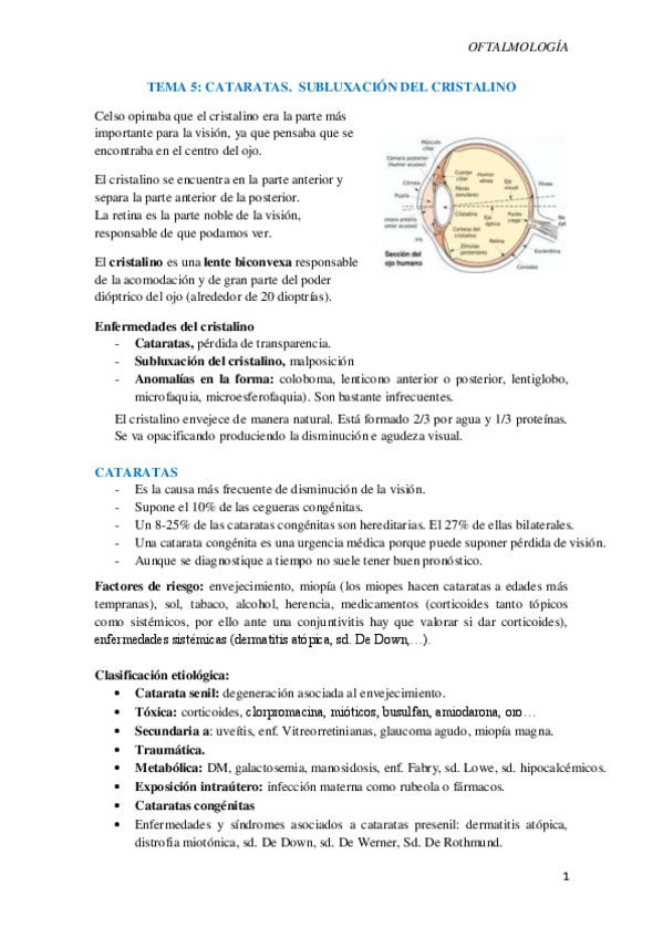 Miniatura del documento T5-Cataratas.-Luxacion-del-cristalino.pdf