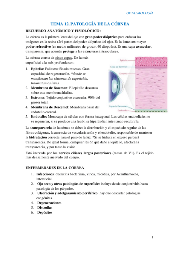 Miniatura del documento T12-Patologia-de-la-cornea.pdf