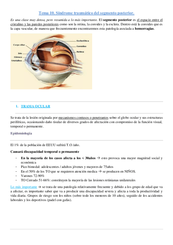 Miniatura del documento T18-Sindrome-traumatico-del-segmento-posterior.-Oftalmia-simpatica.pdf