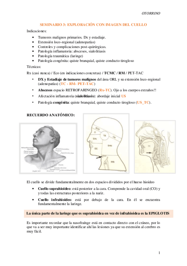 Miniatura del documento S3-Exploracion-con-imagen-del-cuello.pdf
