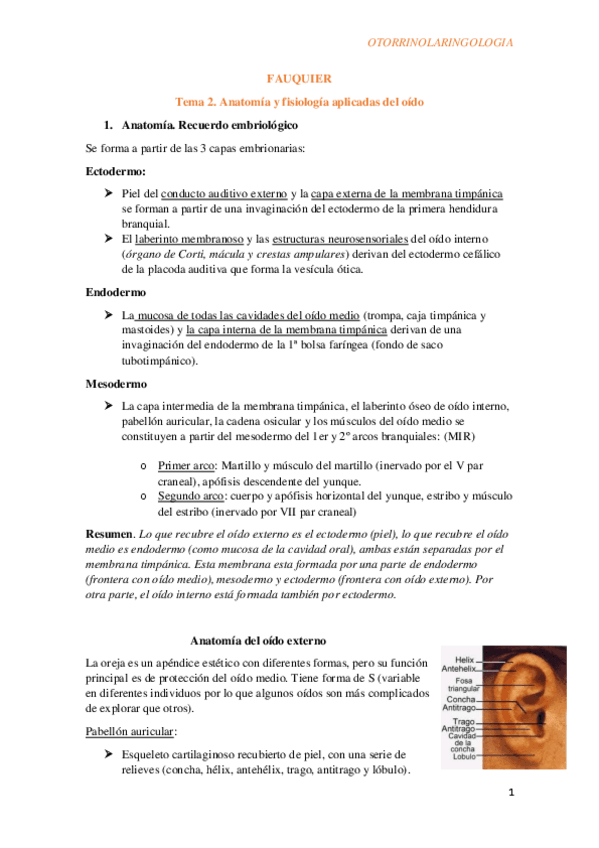 Miniatura del documento Tema-2.-Anatomia-y-fisiologia-aplicadas-del-oido1.pdf