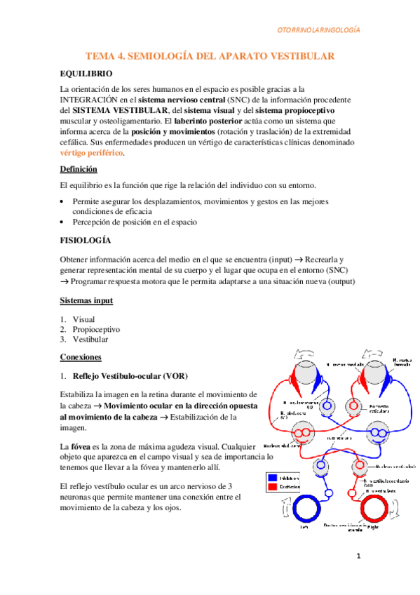Miniatura del documento Tema-4.-Semiologia-del-aparato-vestibular.pdf