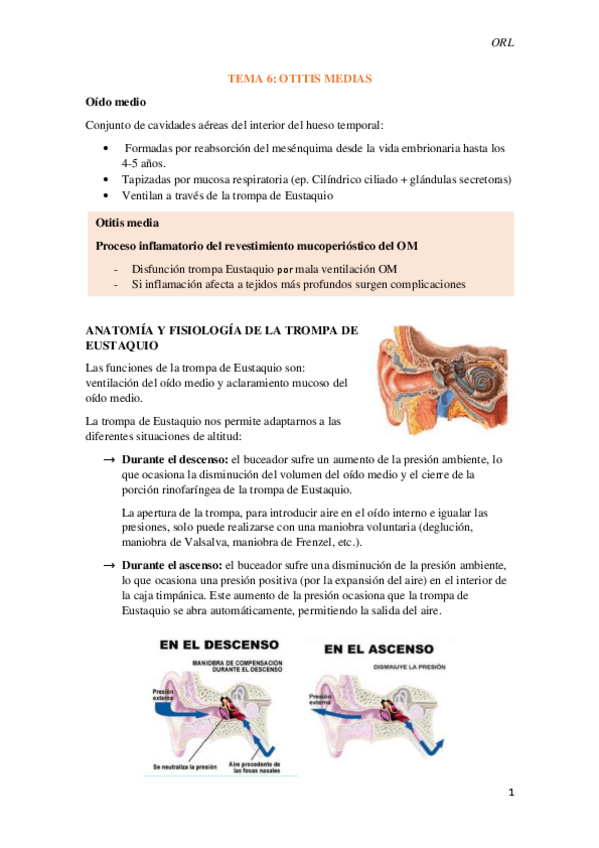 Miniatura del documento Tema-6.-Otitis-medias.pdf