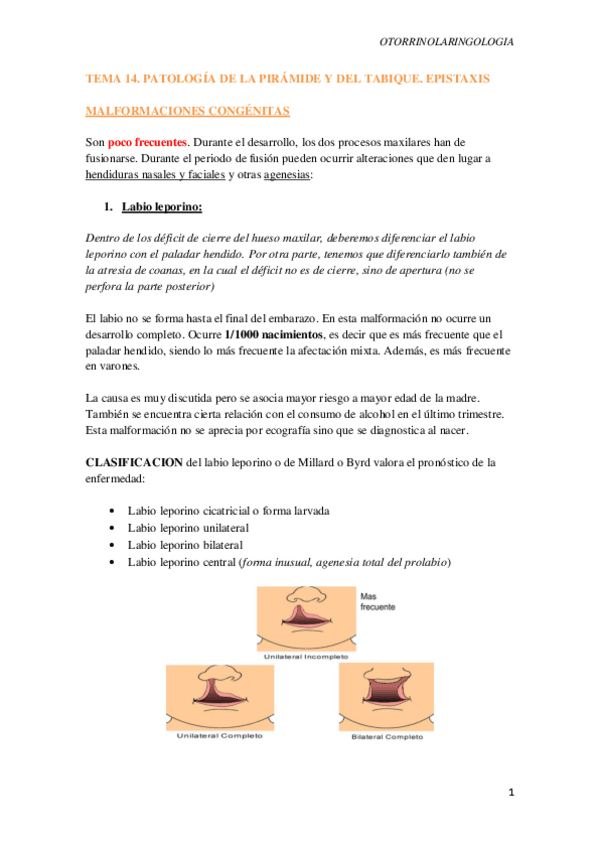 Miniatura del documento Tema-14.-Patologia-de-la-piramide-y-tabique.-Epistaxis.pdf