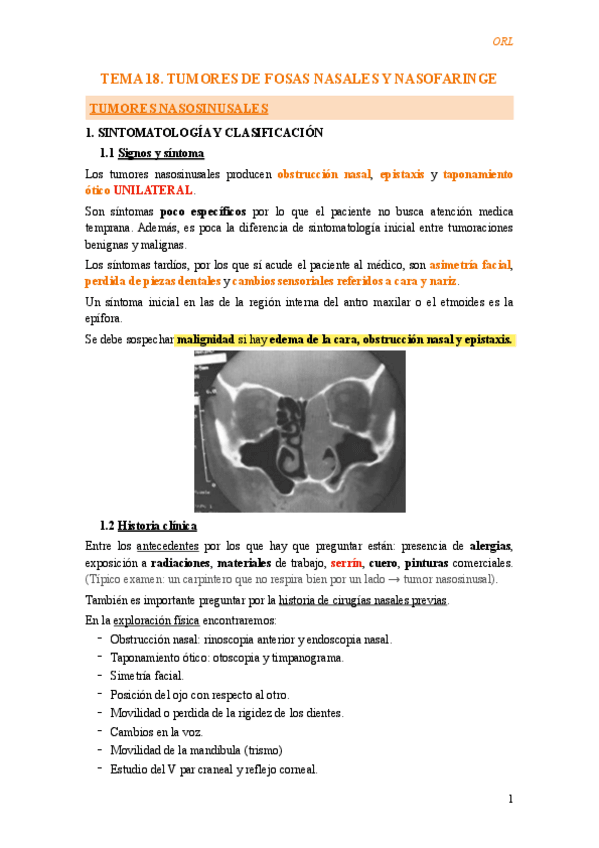 Miniatura del documento Tema-18.-Tumores-de-fosas-nasales-y-nasofaringe.pdf
