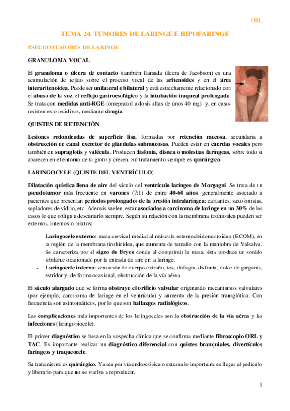 Miniatura del documento Tema-24.-Tumores-de-la-laringe-e-hipofaringe.pdf