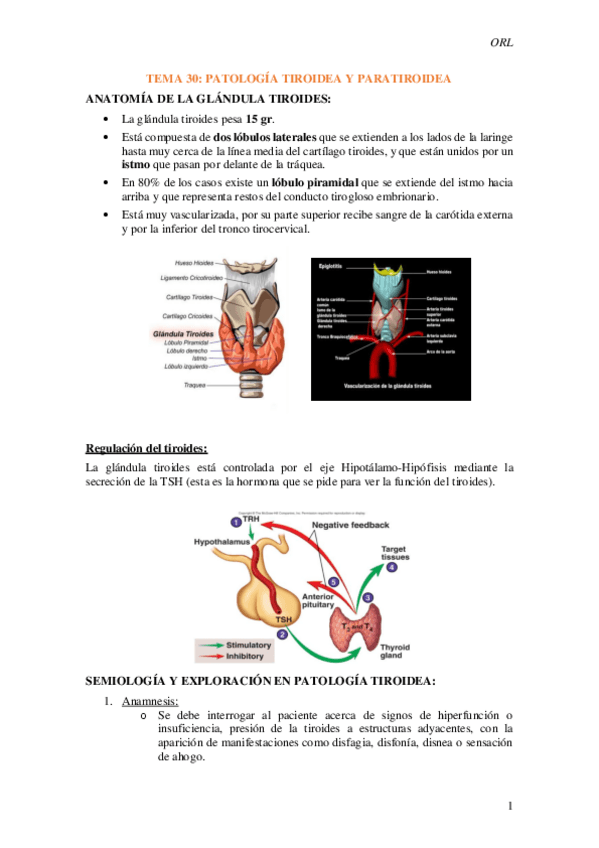 Miniatura del documento Tema-30-Patologia-tiroidea-y-paratiroidea.pdf