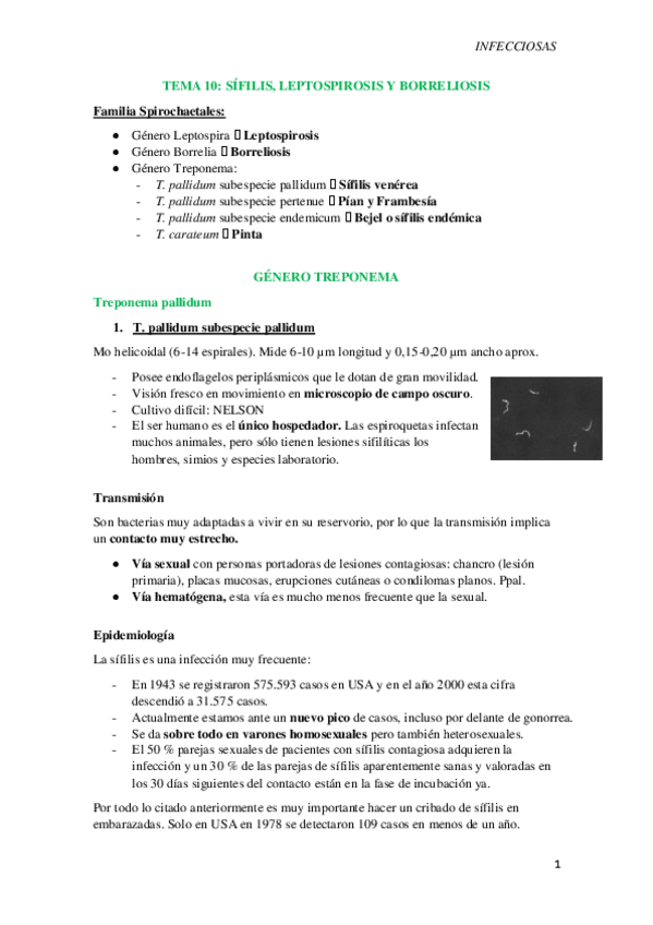 Miniatura del documento T10-Sifilis-leptospirosis-y-borreliosis.pdf