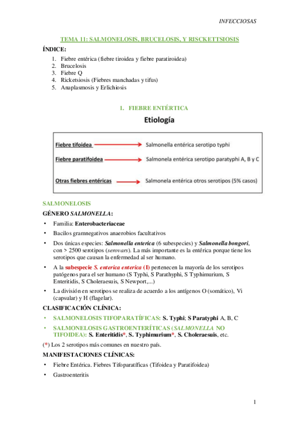 Miniatura del documento T11-Salmenolosis-brucelosis-y-rickettsiosis.pdf