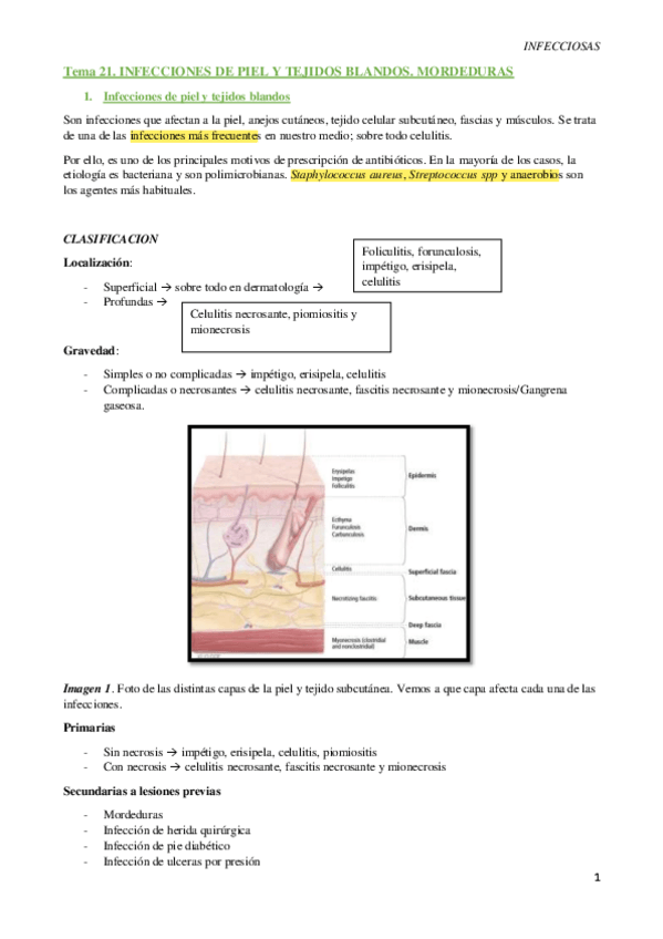 Miniatura del documento T21-Infecciones-de-la-piel-y-tejidos-blandos.pdf