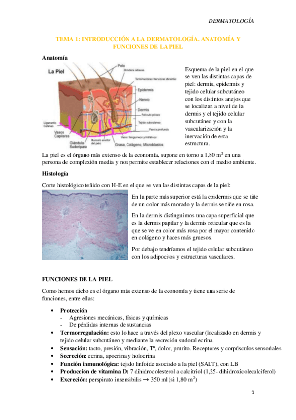 Miniatura del documento Tema-1.-Introduccion-a-la-dermatologia.pdf