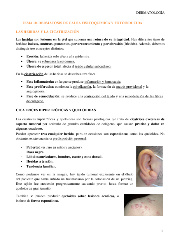 Miniatura del documento Tema-10-Dermatosis-de-causa-fisico-quimica-y-fotoinducida-2.pdf