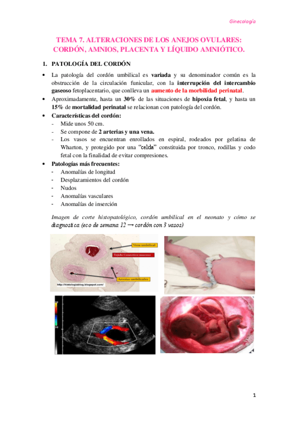 Miniatura del documento Tema-7-Alteraciones-de-los-anejos-ovulares.pdf