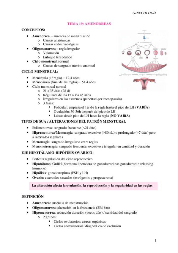 Miniatura del documento T19-Amenorrea.pdf