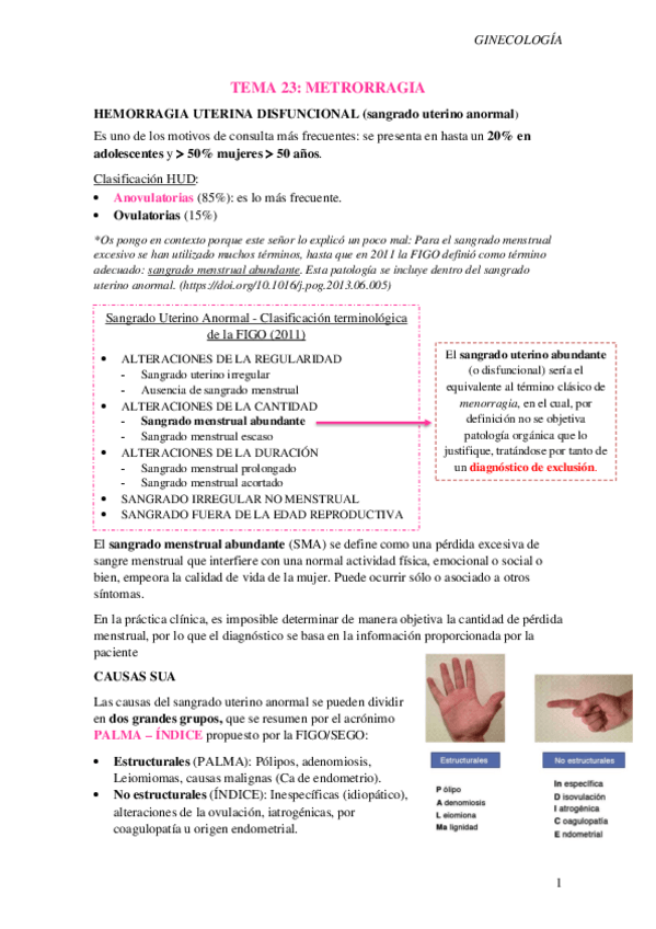 Miniatura del documento T23.-Metrorragias.pdf