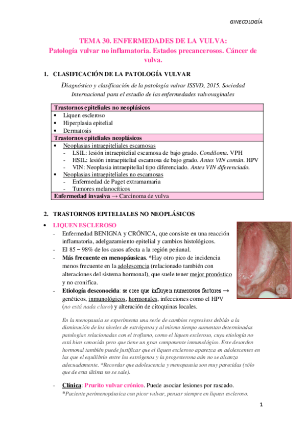 Miniatura del documento T30.-Patologia-vulvar.pdf