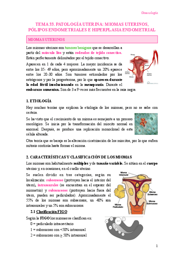 Miniatura del documento T33-Patologia-uterina.-Miomas-polipos-e-hiperplasia.pdf