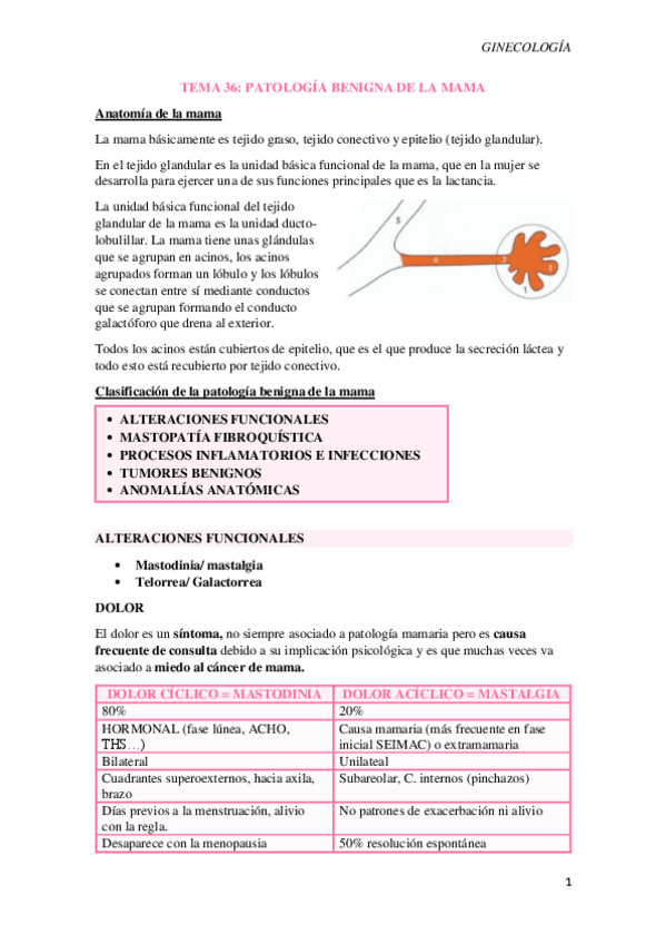 Miniatura del documento T36-Patologia-benigna-de-la-mama.pdf