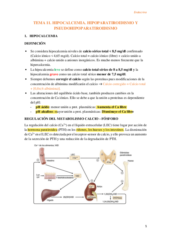Miniatura del documento Tema-11-Hipocalcemia.pdf