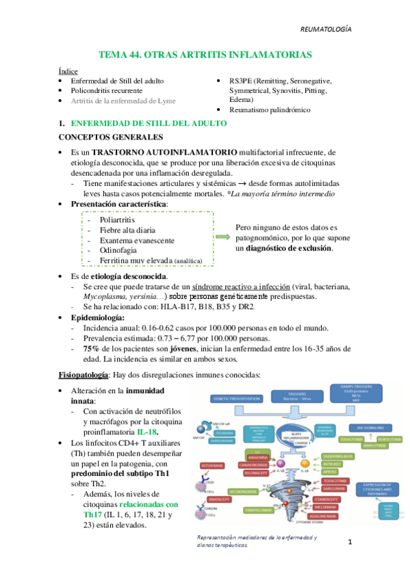 Miniatura del documento T44.-Otras-artritis-inflamatorias.pdf