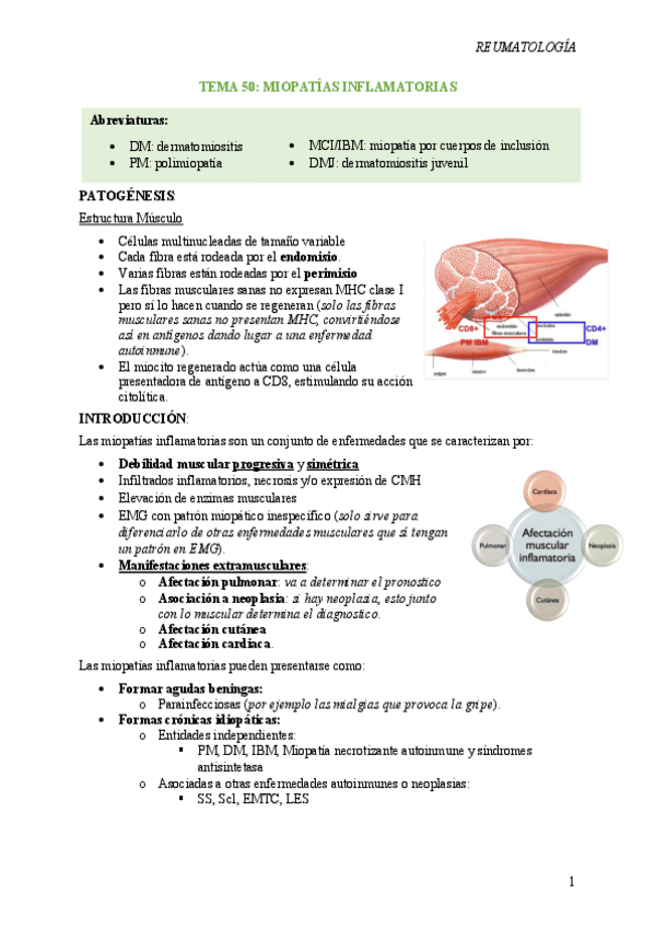 Miniatura del documento T50-Miopatias-inflamatorias.pdf