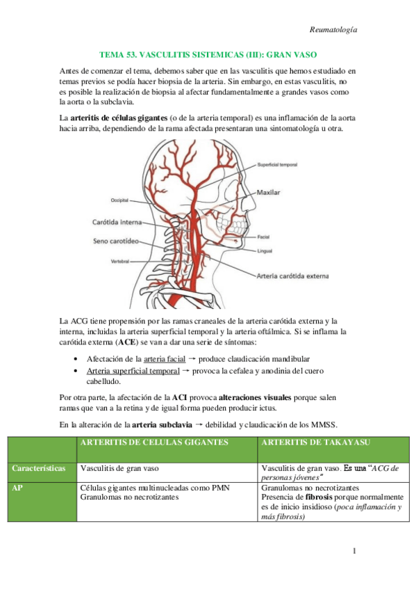 Miniatura del documento T53.-Vasculitis-sistemicas-III-gran-vaso.pdf