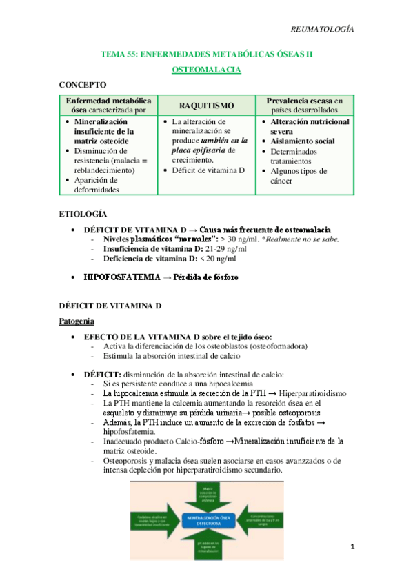 Miniatura del documento T55-Enfermedades-metabolicas-oseas-II.pdf