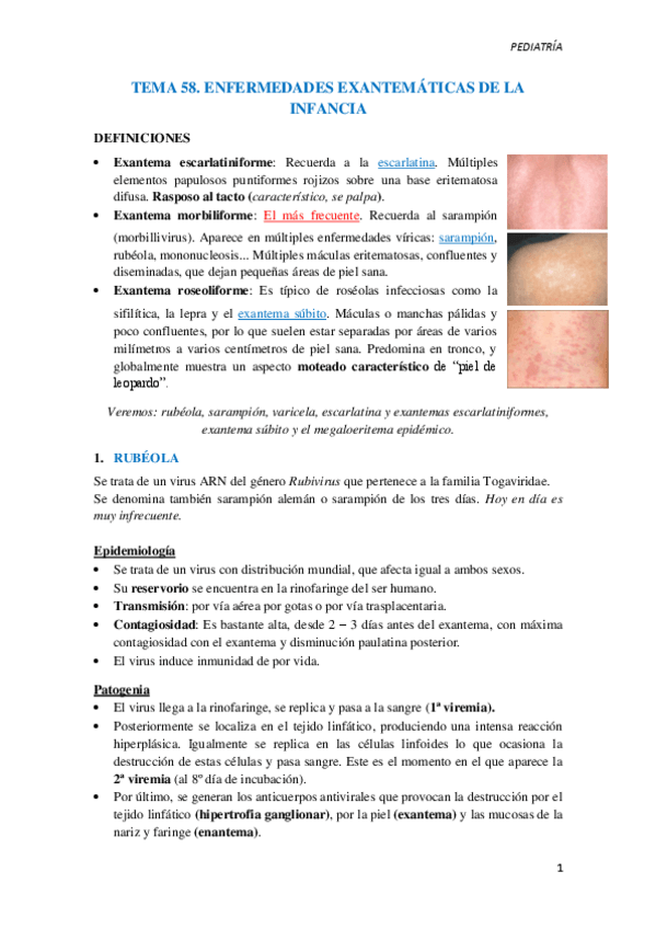 Miniatura del documento T58.-Enfermedades-exantematicas-de-la-infancia.pdf
