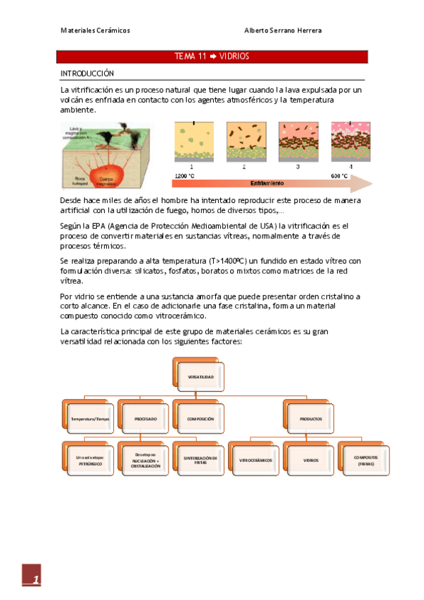 Miniatura del documento T11_Vidrios.pdf