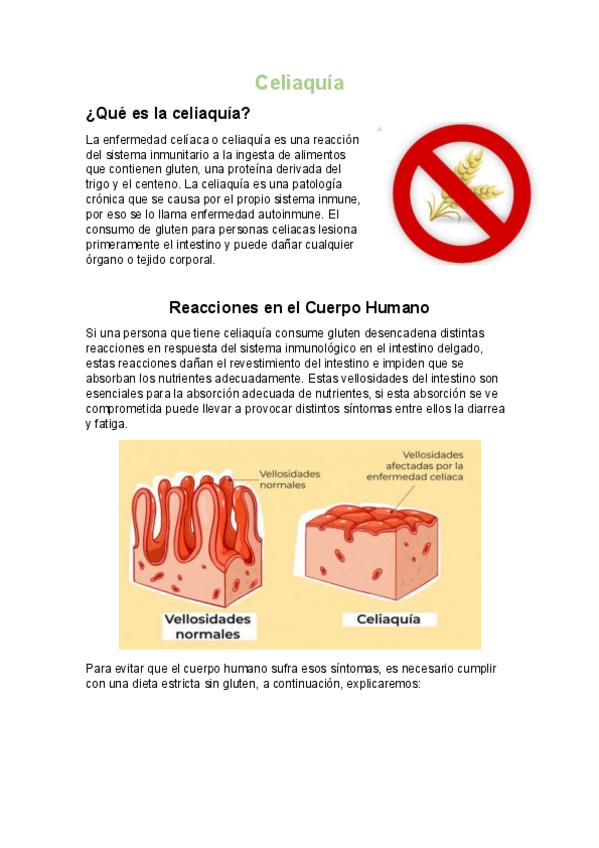 Miniatura del documento Apunte-sobre-la-celiaquia.pdf