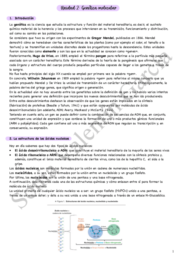 Miniatura del documento U2-Genetica-molecularWuolah.pdf