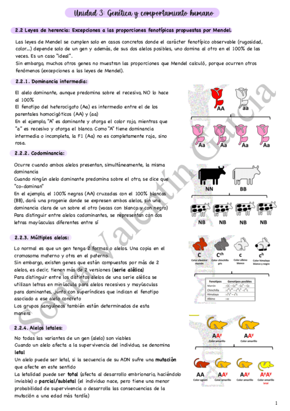Miniatura del documento U3-Genetica-y-comportamiento-humanoWuolah.pdf