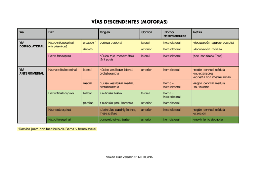 Miniatura del documento Vias-descendentes-motoras.pdf