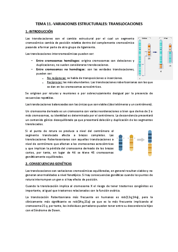 Miniatura del documento Tema 11.-Translocaciones.pdf