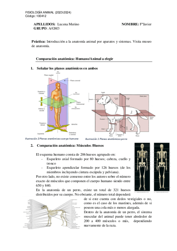 Miniatura del documento TareaP1-museo-veterinaria.pdf