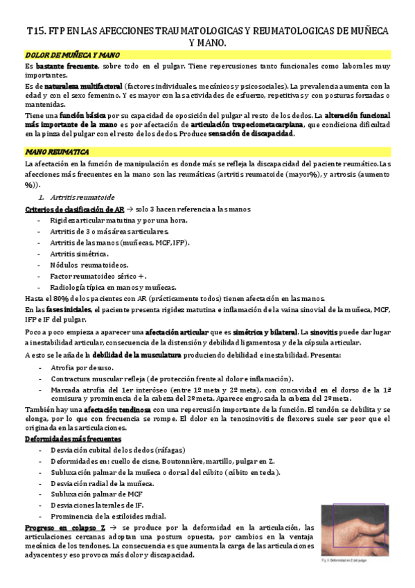 Miniatura del documento tema-15.-fisio-afecciones-traumatologicas-y-reumatologicas-mano-y-muneca.pdf