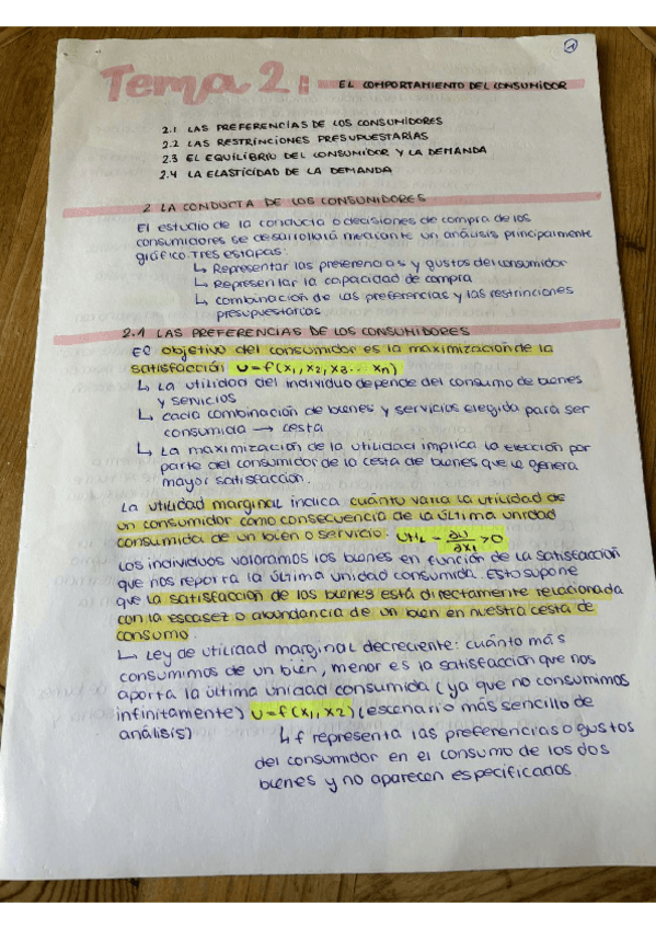 Miniatura del documento Tema-2-el-comportamiento-del-consumidor-y-la-elasticidad-de-la-demanda.pdf