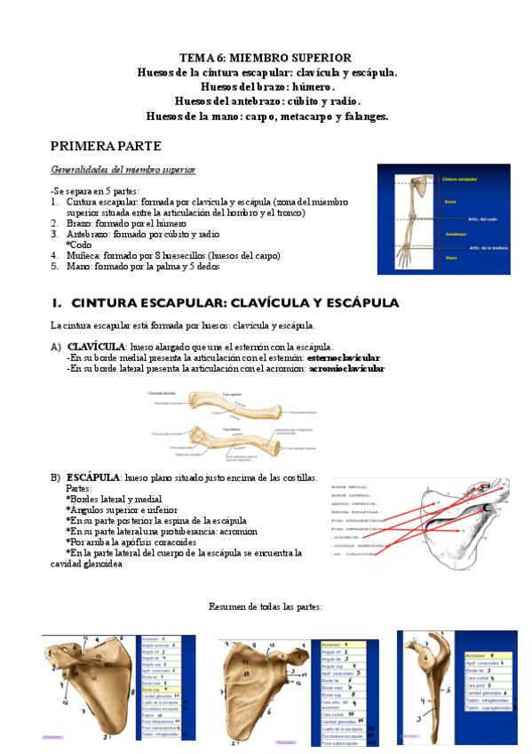 Miniatura del documento tema-6.pdf