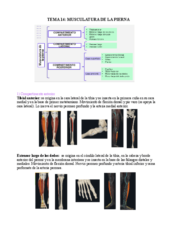 Miniatura del documento tema-14.pdf
