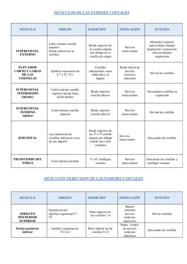 Miniatura del documento TABLAMUSCULOSTORAXMANODEDOS.pdf