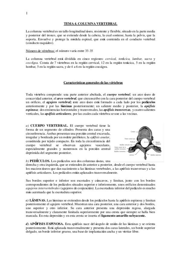 Miniatura del documento TEMA-4.pdf