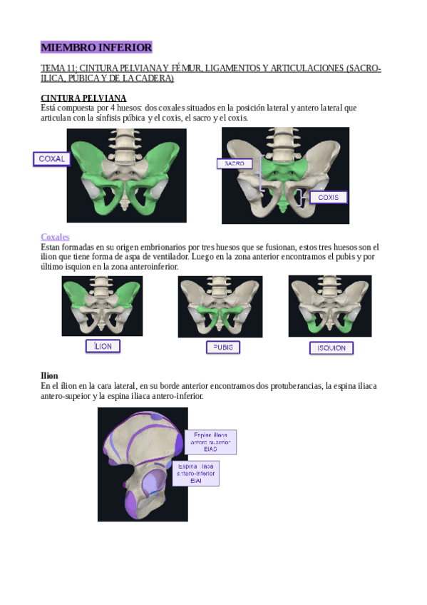 Miniatura del documento TEMA-11.pdf