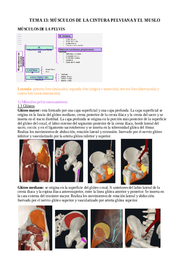 Miniatura del documento tema-13.pdf