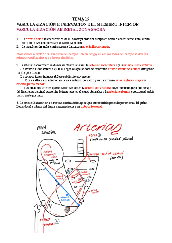 Miniatura del documento TEMA-15.1-Mimebro-inferior-copia.pdf