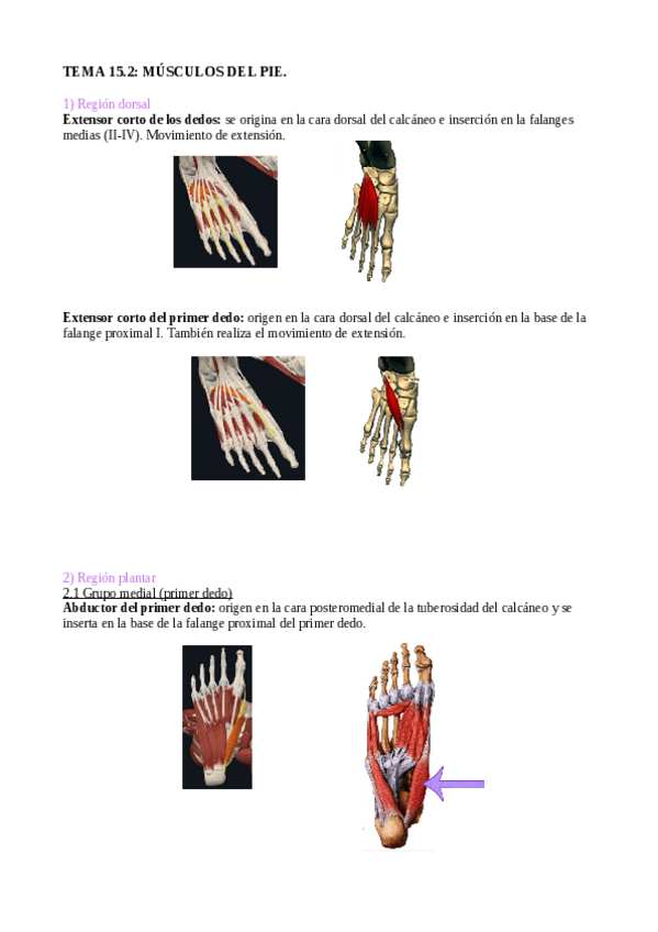 Miniatura del documento tema-15.2.pdf