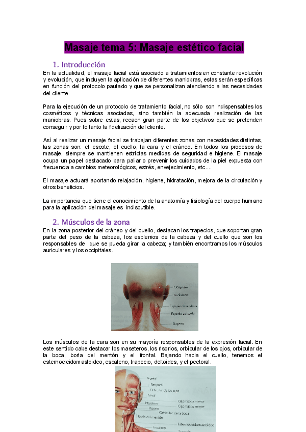 Miniatura del documento Tema-5-masaje.docx.pdf