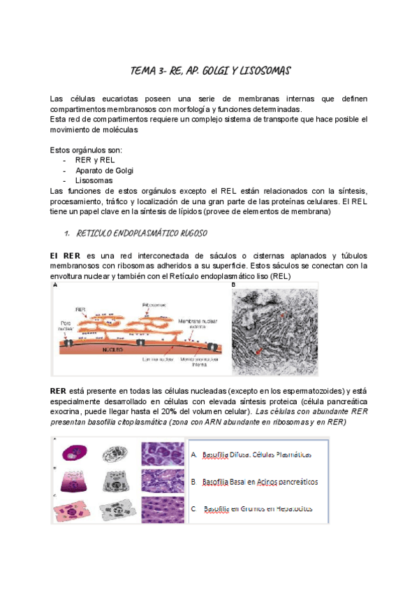 Miniatura del documento TEMA-3-BIOLOGIA-CELULAR.pdf