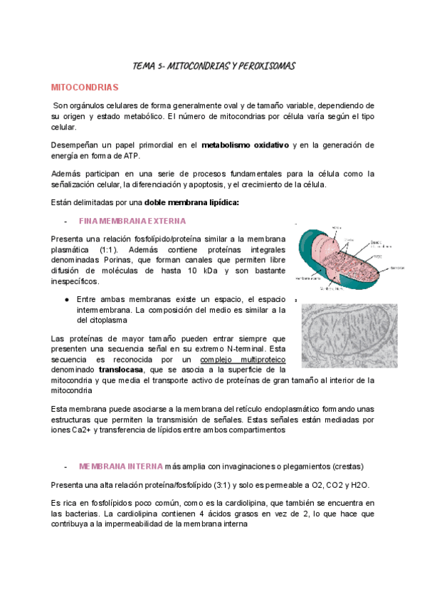 Miniatura del documento TEMA-4-BIOLOGIA-DEFINITIVO.pdf
