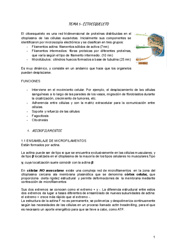 Miniatura del documento TEMA-5-BIOLOGIA-CELULAR.pdf