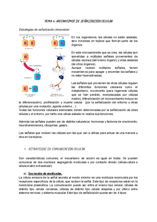 Miniatura del documento TEMA-6-BIOLOGIA.pdf